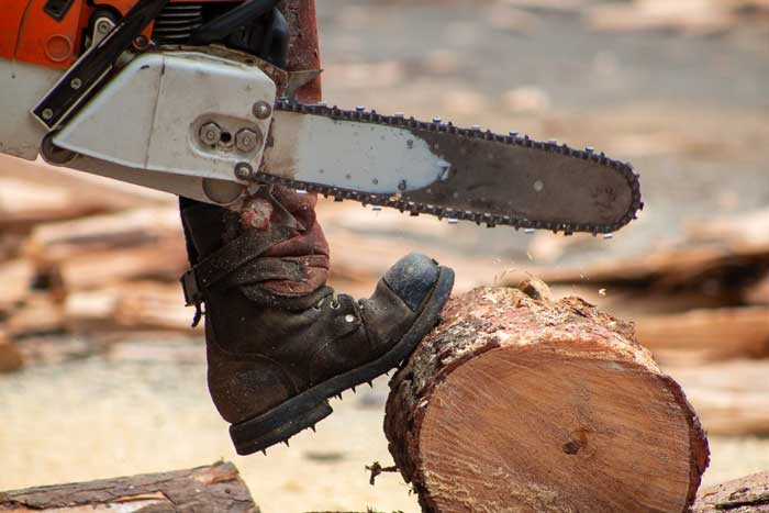 Chainsaw Boots
