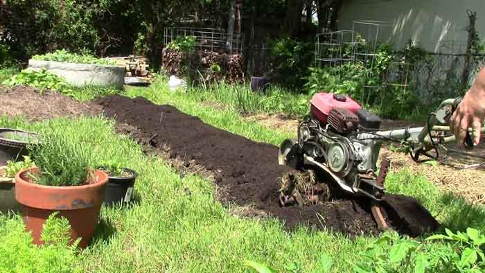 Using Clay Soil in Garden